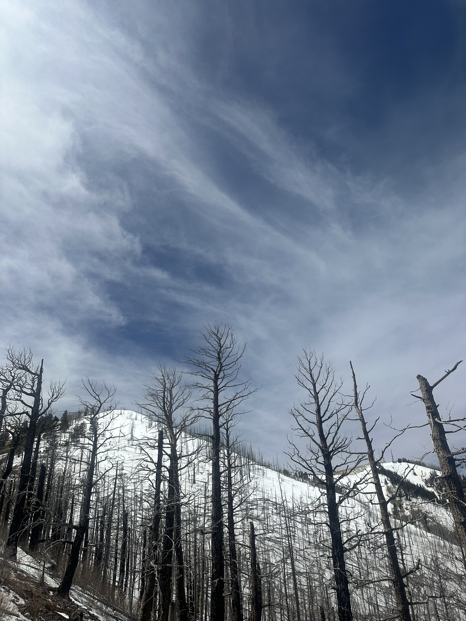 United States-National Parks-Other - Image 3062